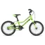 2020 Giant ARX 16 Childs Bike in Green