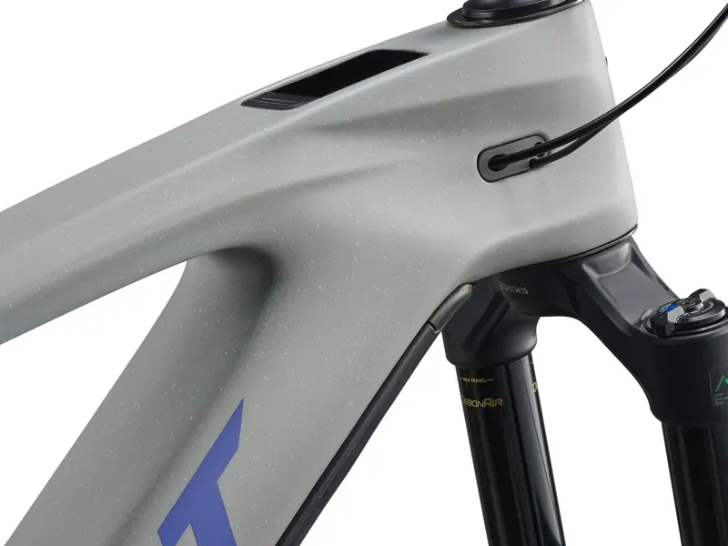 Giant Reign Advanced E+ 2 E-MTB in Moon Dust-5