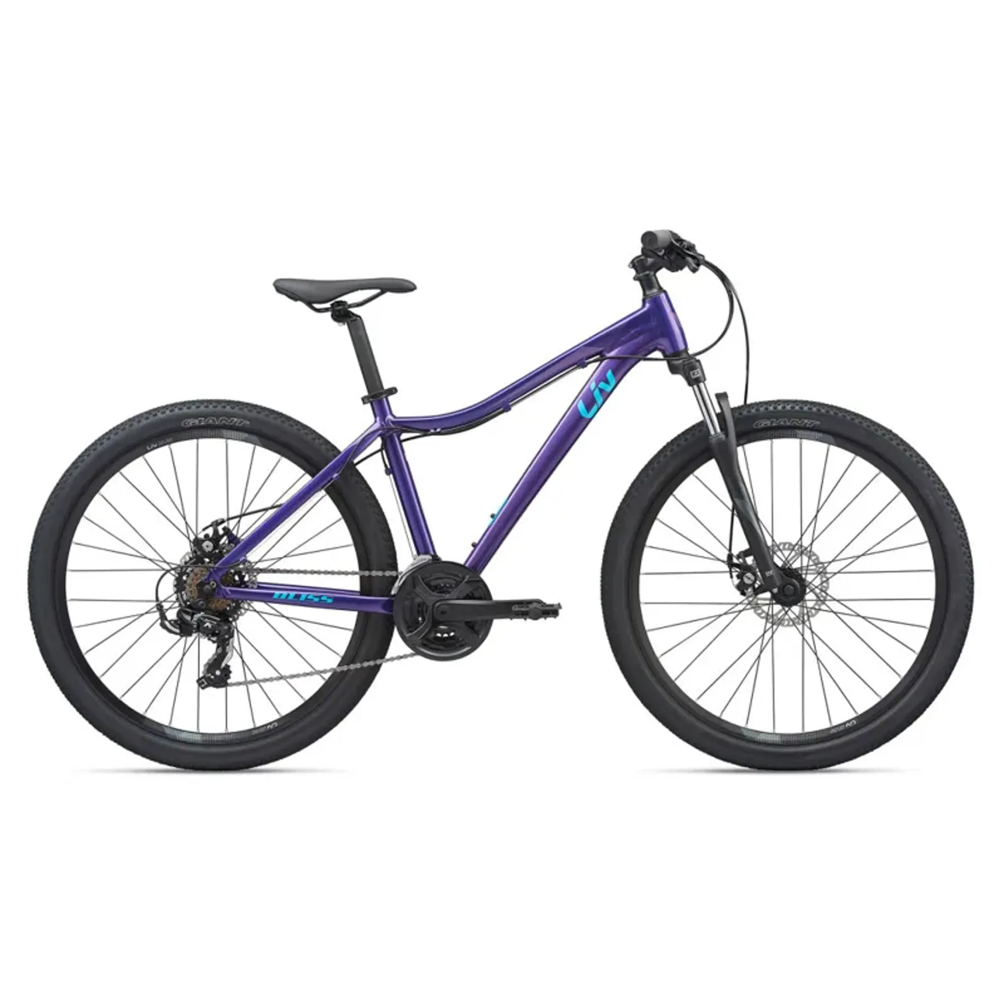 2020 Liv Bliss Disc Hardtail Mountain Bike in Purple