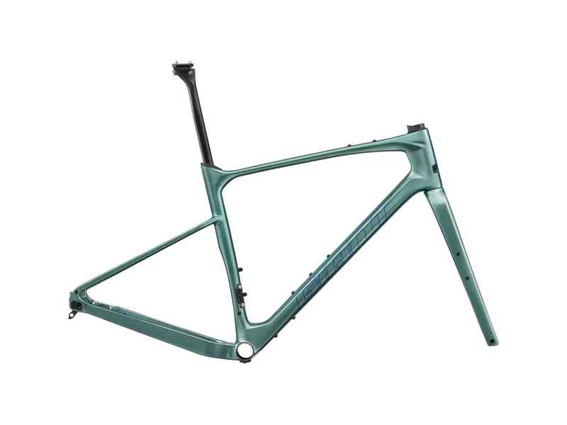 Giant advanced pro frameset on sale