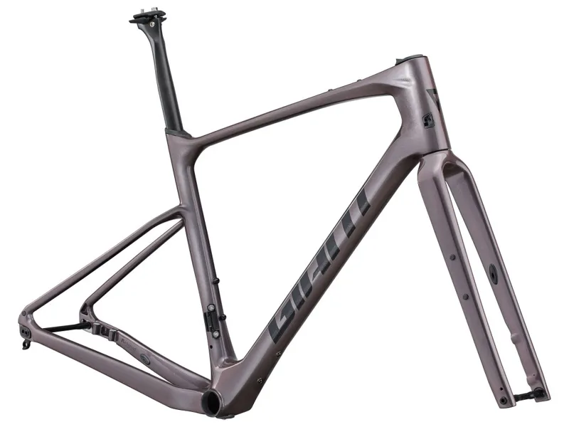 Giant Revolt Advanced Pro Carbon Frameset in Orion Nebula-2