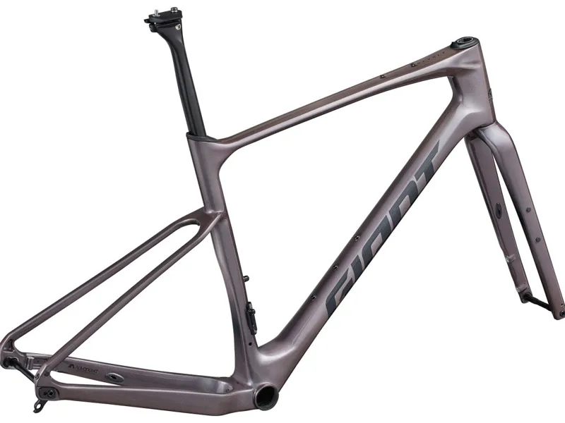 Giant Revolt Advanced Pro Carbon Frameset in Orion Nebula-3