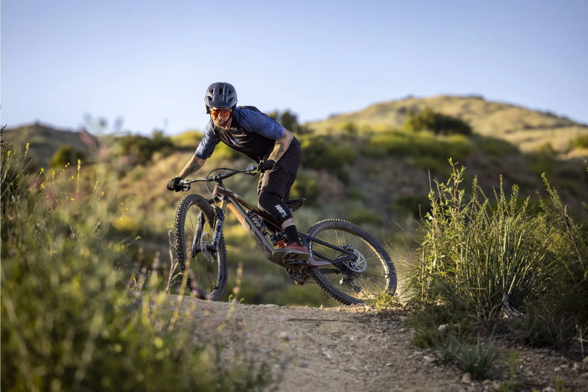 Giant Reign Advanced Pro Mountain Bike in Messier/Carbon